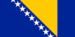 bosnian_flag.png