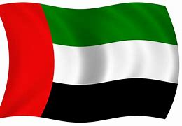 dubai flag