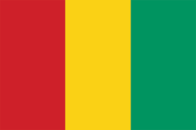 guinea flag